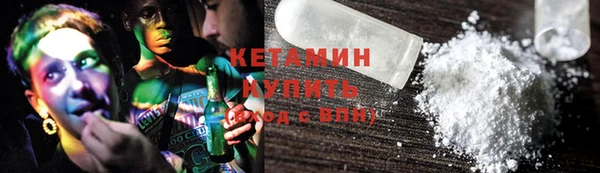 индика Каменка