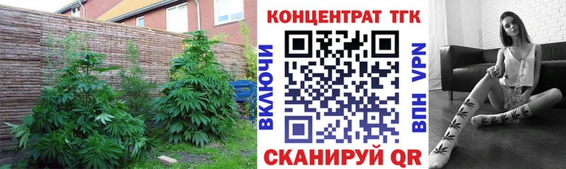 Дистиллят ТГК Wax  хочу   Свободный 