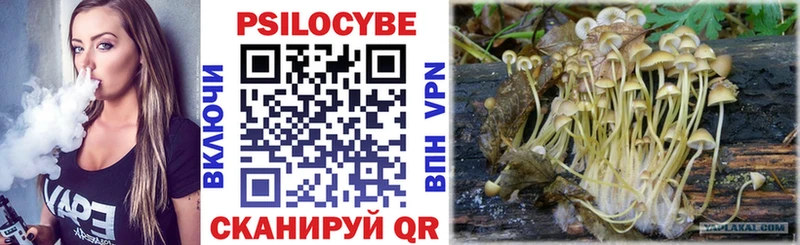 Галлюциногенные грибы Cubensis  hydra сайт  Свободный 